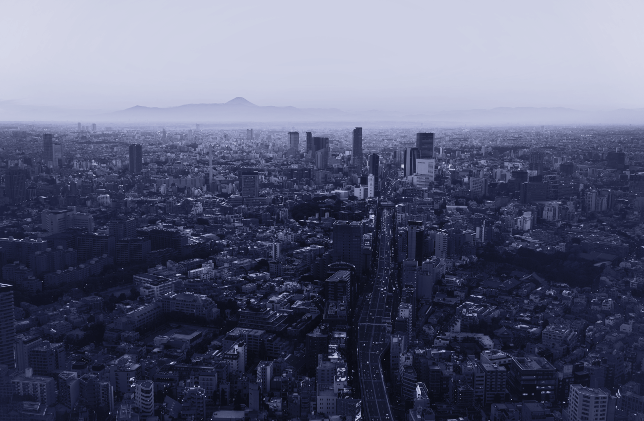 The company Overview